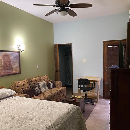 Le Quad - One Bedroom & Studio Apt - Private, Spacious & Secured Kingston Kültér fotó